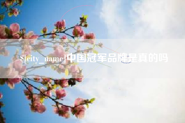 沅江中国冠军品牌是真的吗