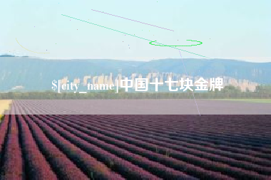 沅江中国十七块金牌