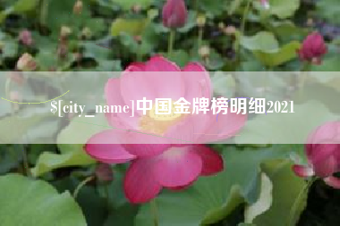 沅江中国金牌榜明细2021