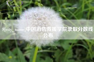 沅江中国消防救援学院录取分数线公布