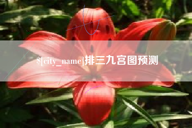 沅江排三九宫图预测
