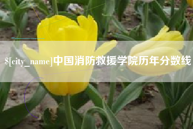 沅江中国消防救援学院历年分数线