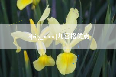 沅江九宫格优点