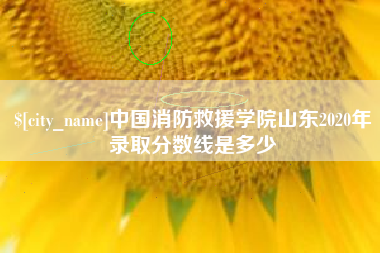 沅江中国消防救援学院山东2020年录取分数线是多少