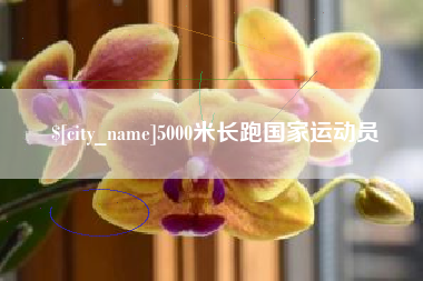 沅江5000米长跑国家运动员