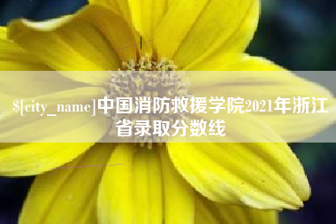 沅江中国消防救援学院2021年浙江省录取分数线