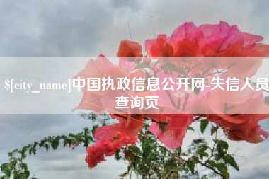 沅江中国执政信息公开网-失信人员查询页