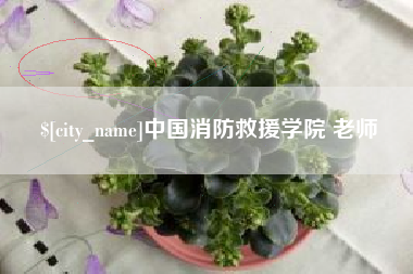 沅江中国消防救援学院 老师