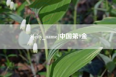 沅江中国第9金