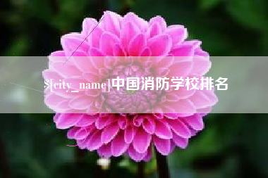 沅江中国消防学校排名