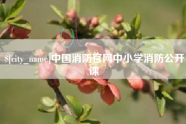 沅江中国消防官网中小学消防公开课