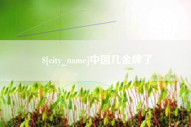 沅江中国几金牌了