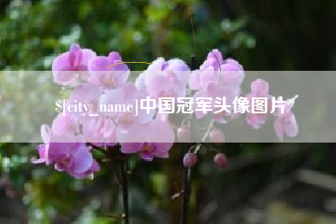 沅江中国冠军头像图片