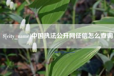 沅江中国执法公开网征信怎么查询