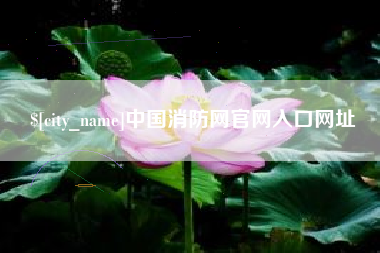 沅江中国消防网官网入口网址
