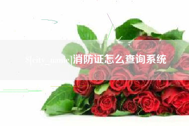 沅江消防证怎么查询系统