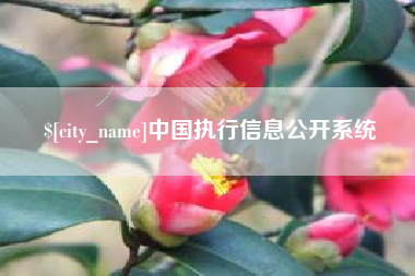 沅江中国执行信息公开系统