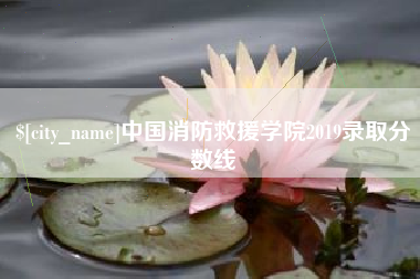 沅江中国消防救援学院2019录取分数线