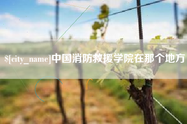 沅江中国消防救援学院在那个地方