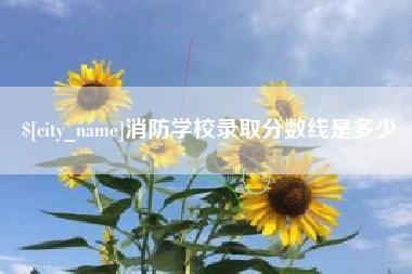 沅江消防学校录取分数线是多少