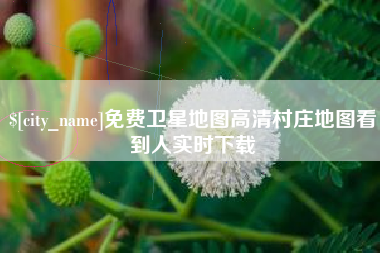 沅江免费卫星地图高清村庄地图看到人实时下载