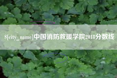 沅江中国消防救援学院2018分数线