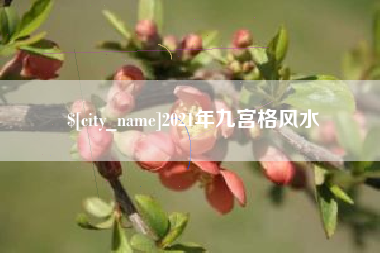 沅江2021年九宫格风水