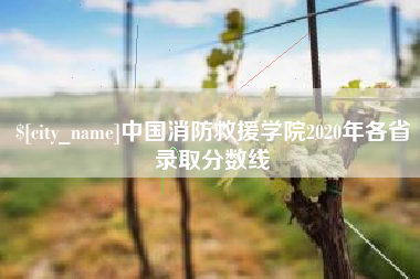沅江中国消防救援学院2020年各省录取分数线