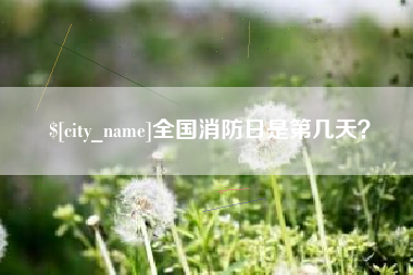 沅江全国消防日是第几天？