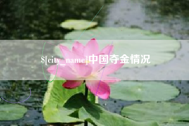 沅江中国夺金情况