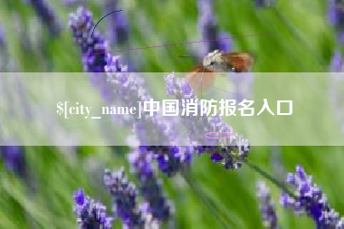 沅江中国消防报名入口