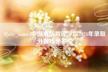 沅江中国消防救援学院2024年录取分数线是多少