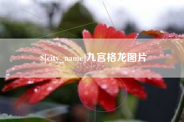 沅江九宫格龙图片