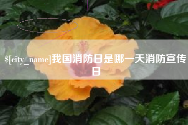 沅江我国消防日是哪一天消防宣传日