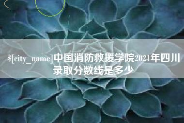 沅江中国消防救援学院2021年四川录取分数线是多少