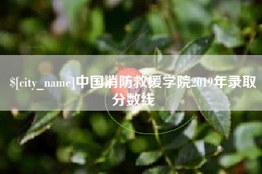 沅江中国消防救援学院2019年录取分数线