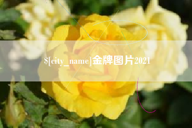 沅江金牌图片2021