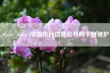 沅江中国执行信息公开网平台维护