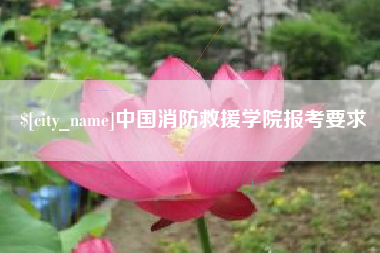 沅江中国消防救援学院报考要求
