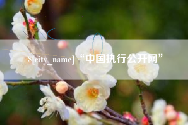 沅江“中国执行公开网”