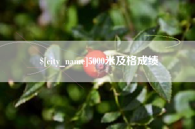 沅江5000米及格成绩
