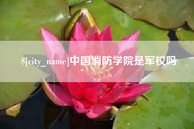 沅江中国消防学院是军校吗