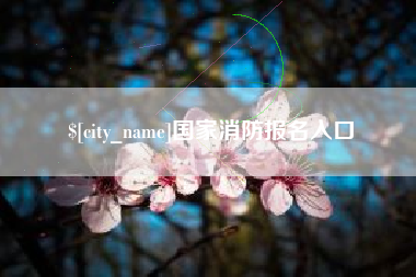 沅江国家消防报名入口