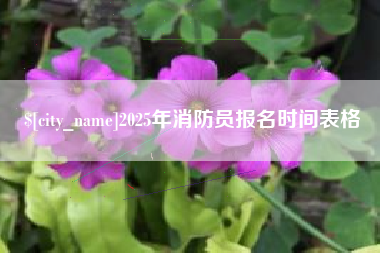 沅江2025年消防员报名时间表格