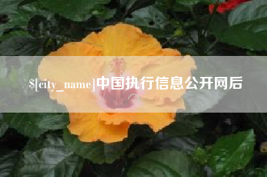 沅江中国执行信息公开网后