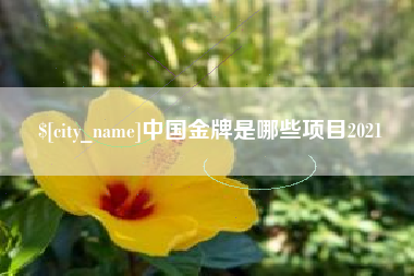 沅江中国金牌是哪些项目2021