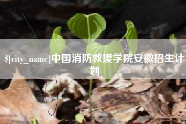 沅江中国消防救援学院安徽招生计划