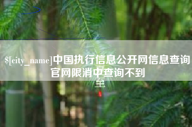沅江中国执行信息公开网信息查询官网限消中查询不到