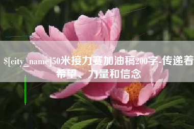 沅江50米接力赛加油稿200字-传递着希望、力量和信念