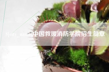 沅江中国救援消防学院招生简章